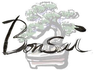 bonsai